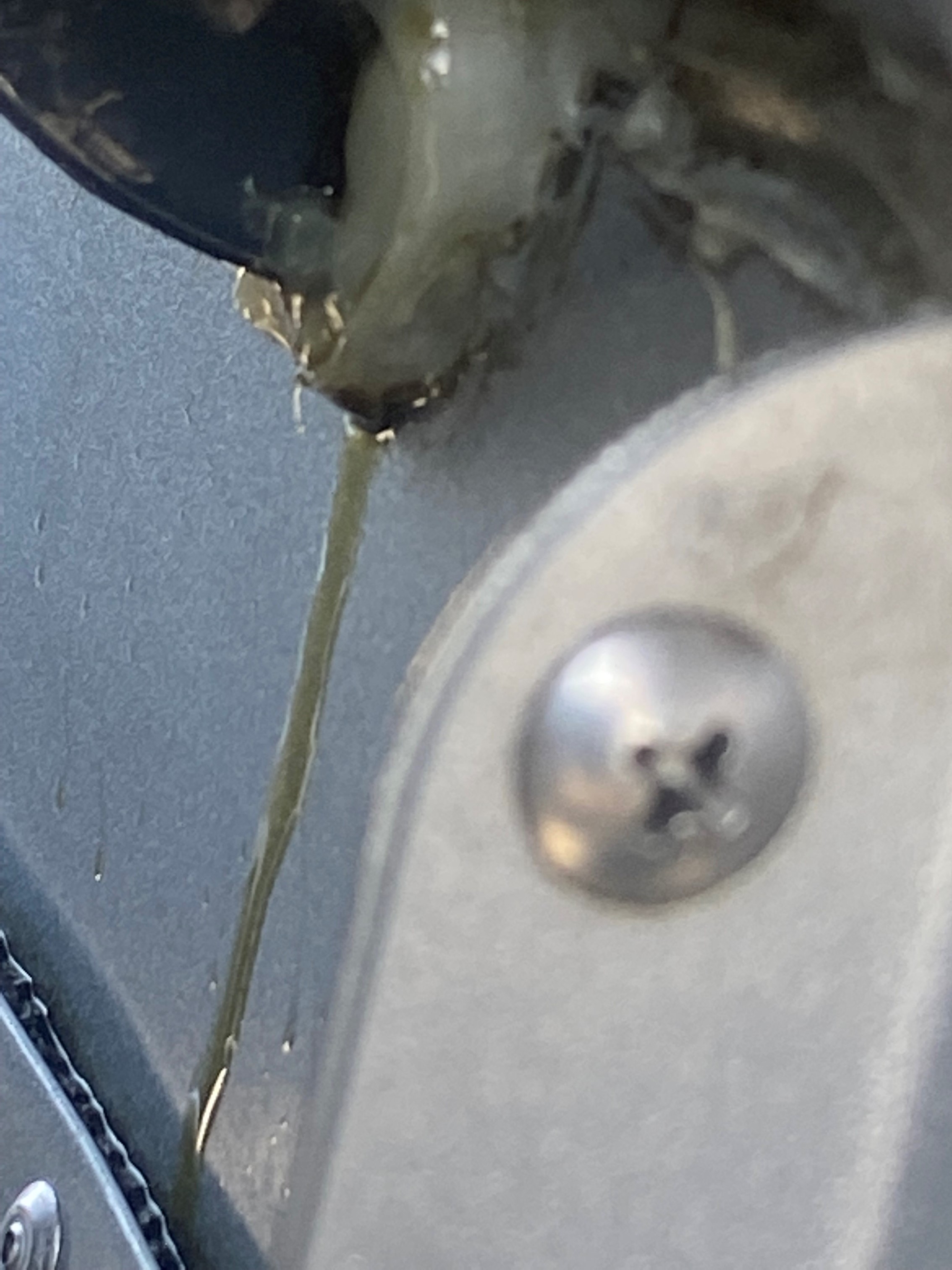 Crankcase Seal Leaking