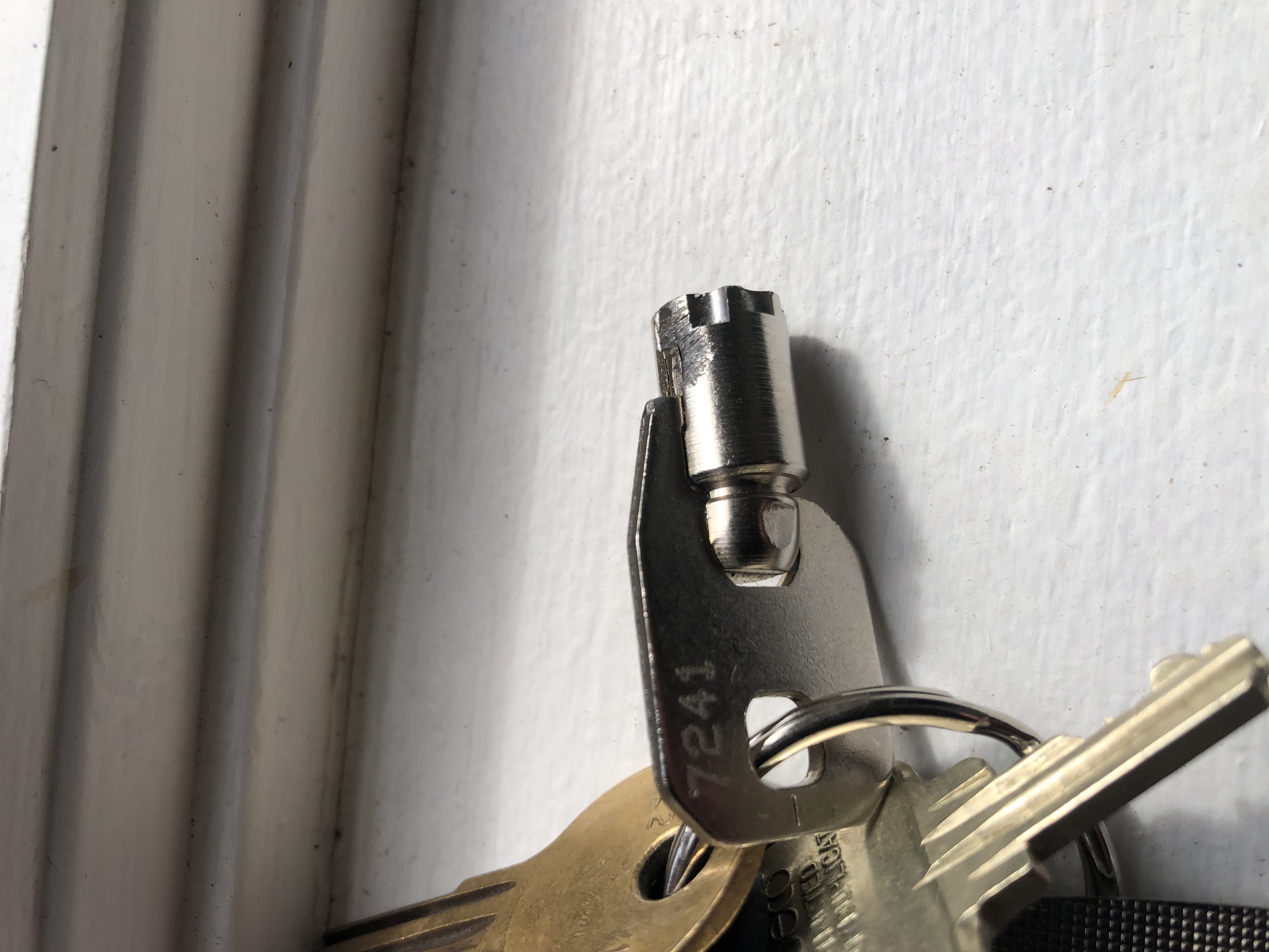 Gas Cap Locking AND Unlocked type...let me choose.